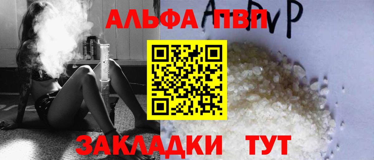 Альфа ПВП СК Гатчина