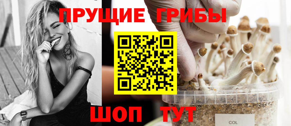 Псилоцибиновые грибы мухоморы Гатчина